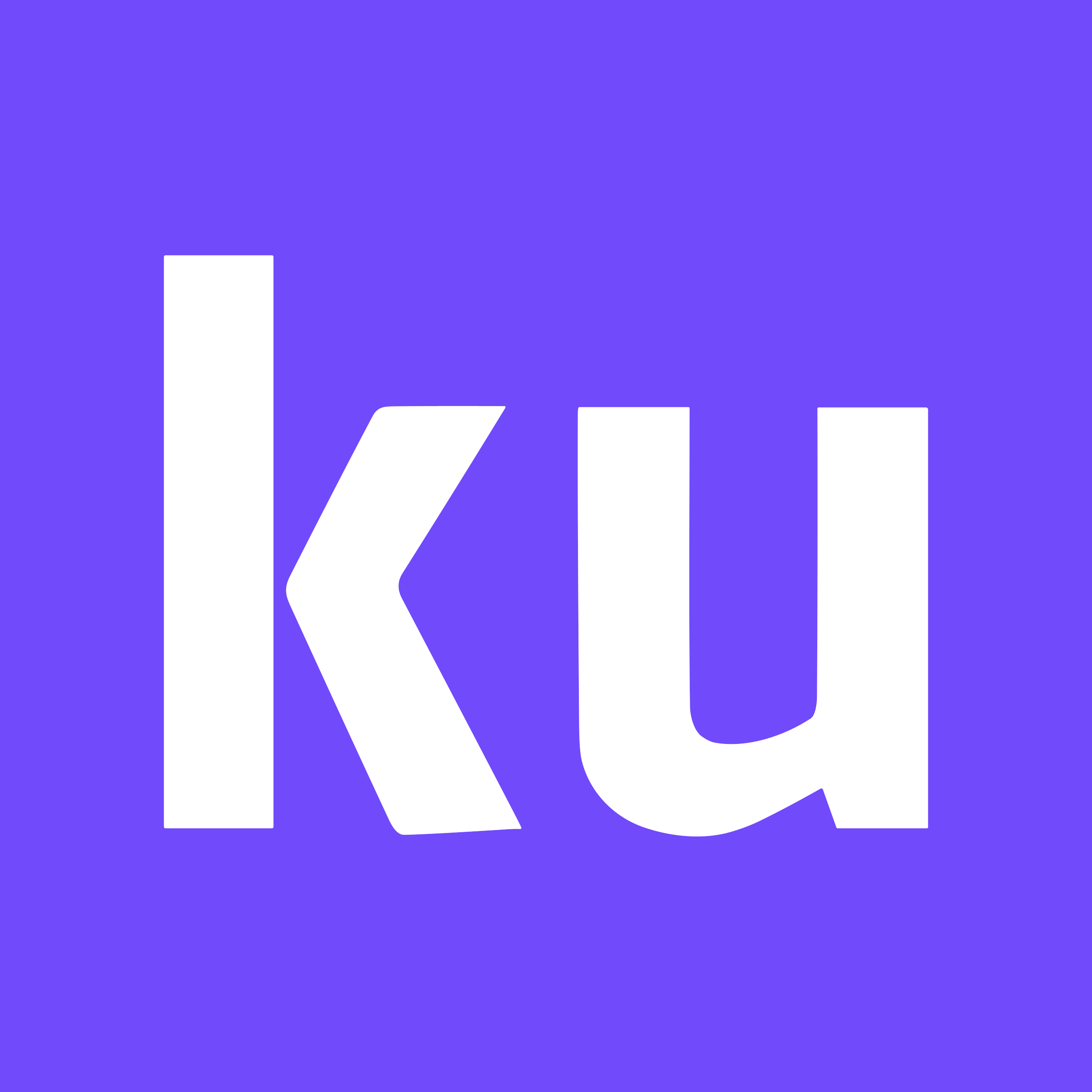 Kunfupay